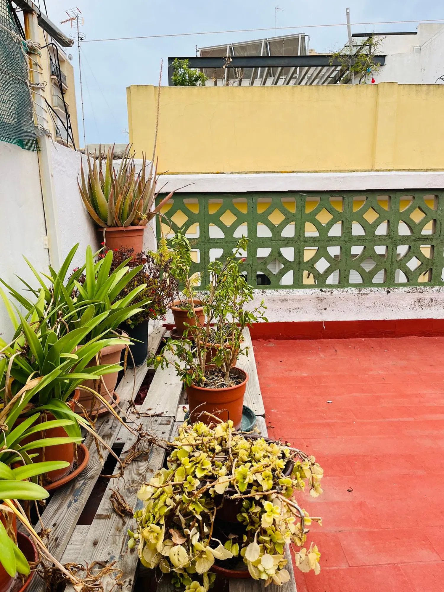 Piso en Pueblo de Cullera - Foto 26