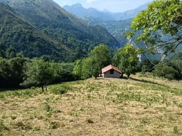Finca rústica en Los Payares s/n - Foto 7