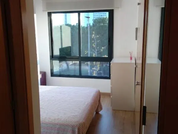 Piso en Zona Parc Central - Hort de Trenor, Zona Parc Central - Hort de Trenor - Foto 8