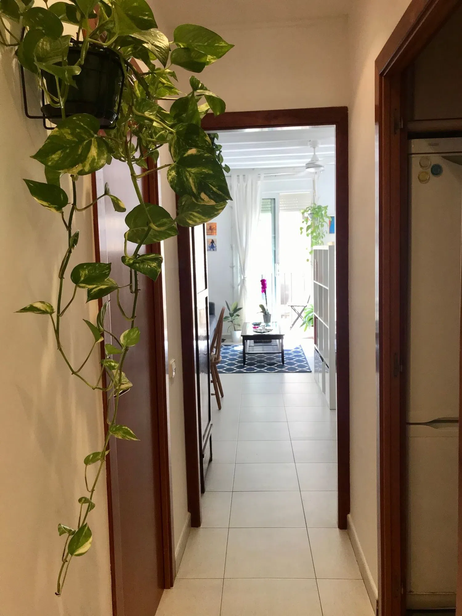 Estudio en calle del Marquès de Barberà, 26 - Foto 4