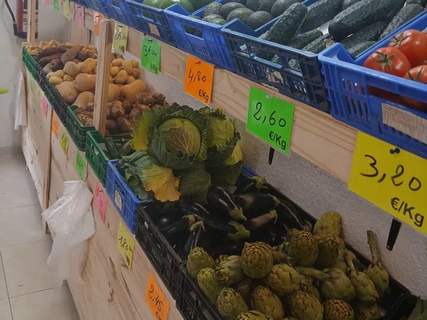 Carnicería en Calle Jaime Segarra, 50, Carolinas Bajas - Foto 4