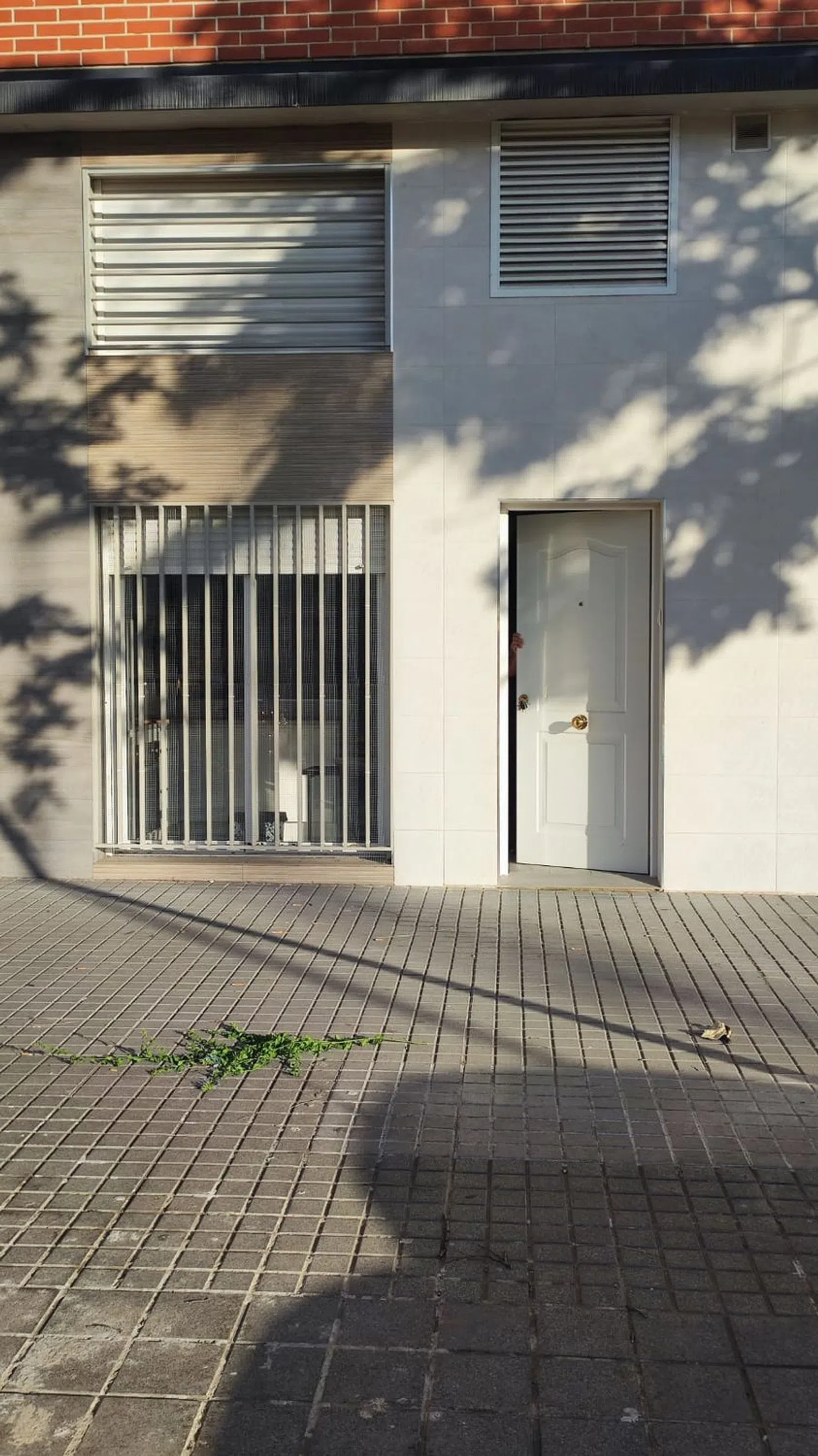 Estudio en calle José Alcaide Irlan, 1 - Foto 5