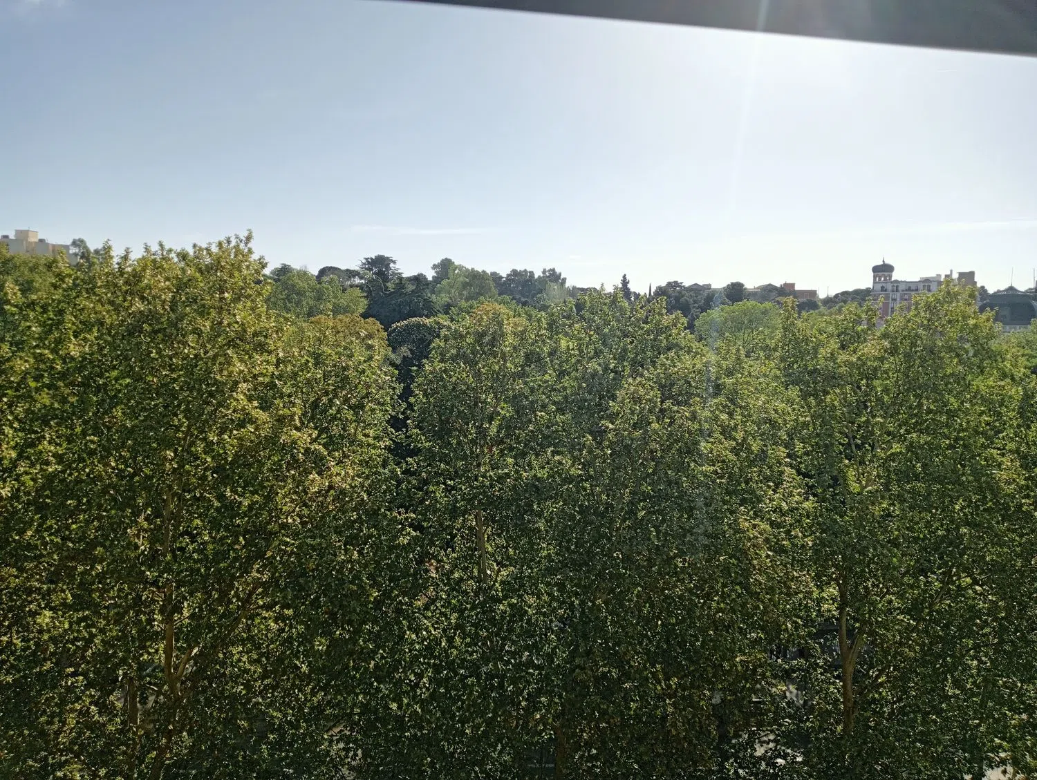 Dúplex en paseo del Prado, 44 - Foto 35