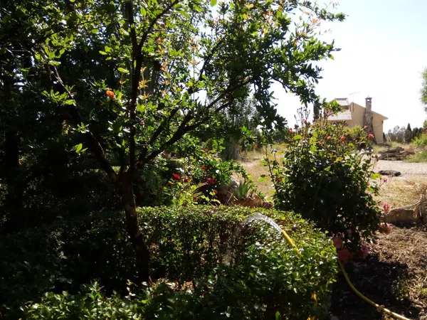 Cortijo en Camino del Campo, 20 - Foto 4