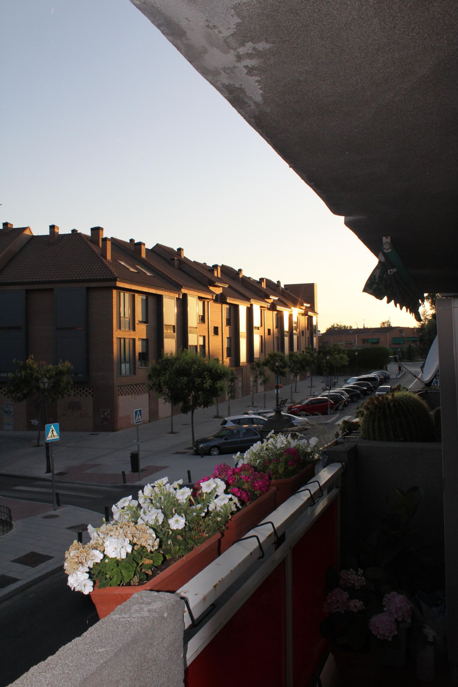 Estudio en camino de la Cruz, 1 - Foto 2