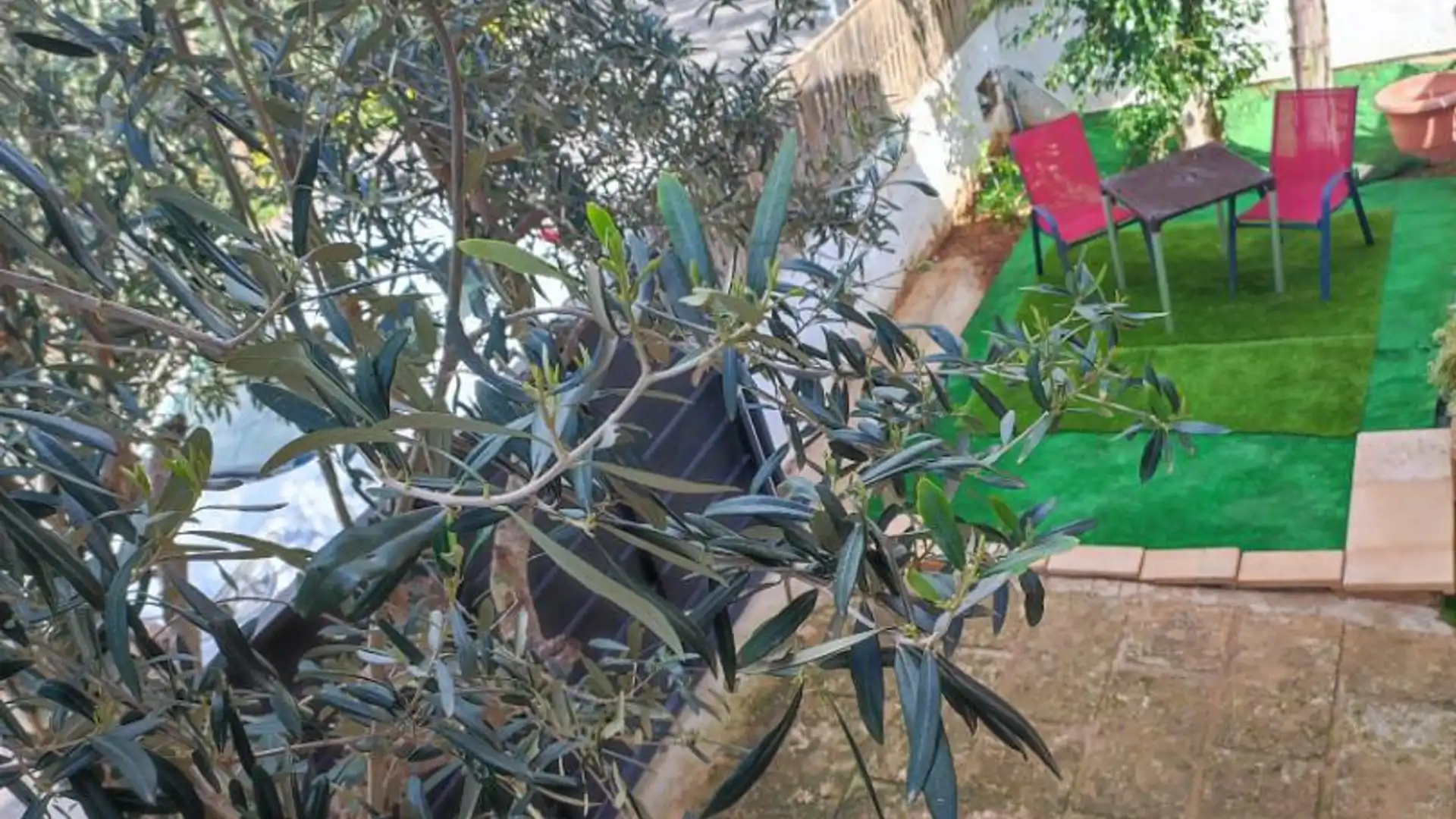 Planta baja en  Carrer Font Obrador 29 - Foto 2