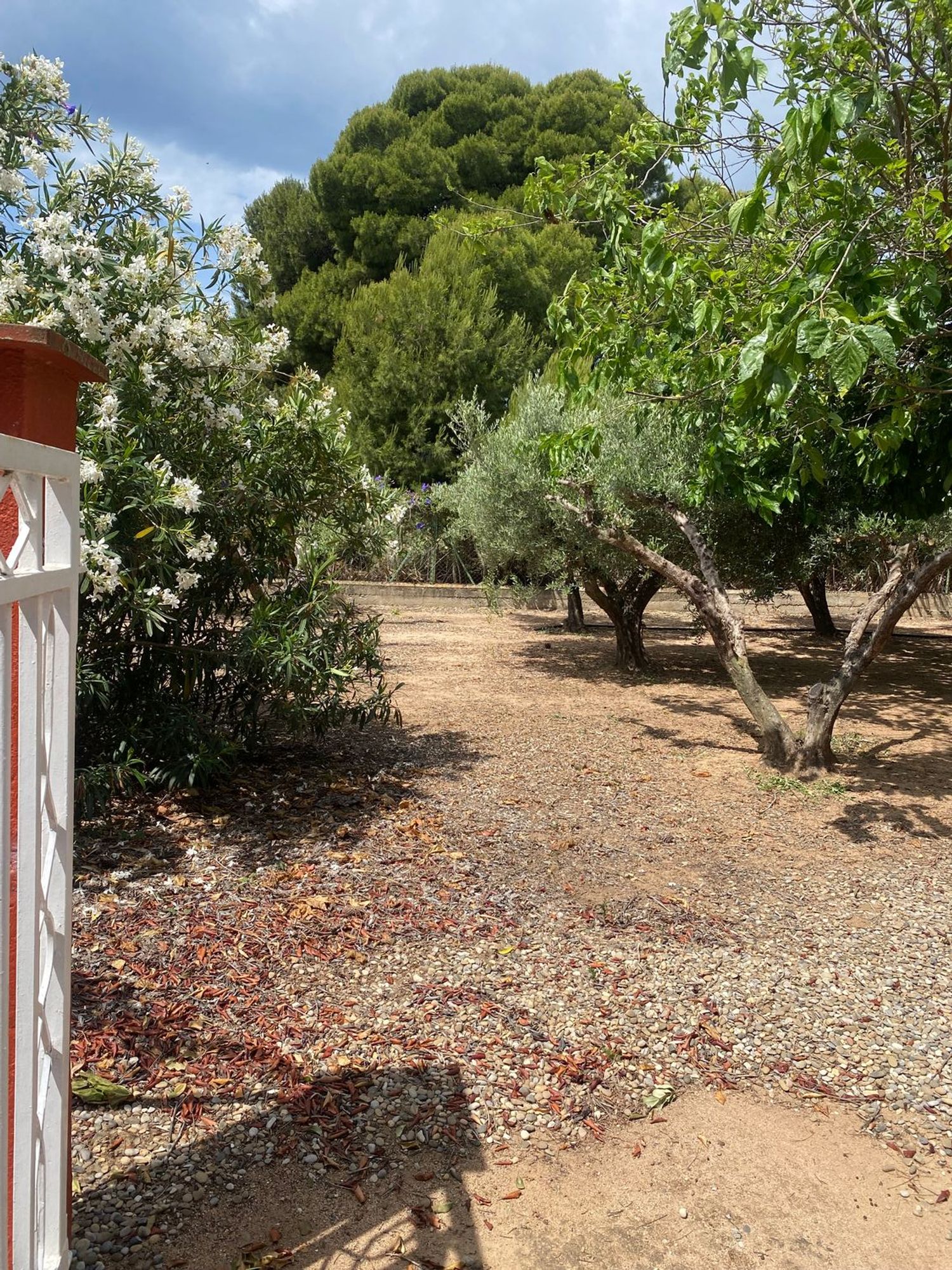 Finca rústica en Avenida Diputación 62, 62, Vilafortuny platja - Foto 8