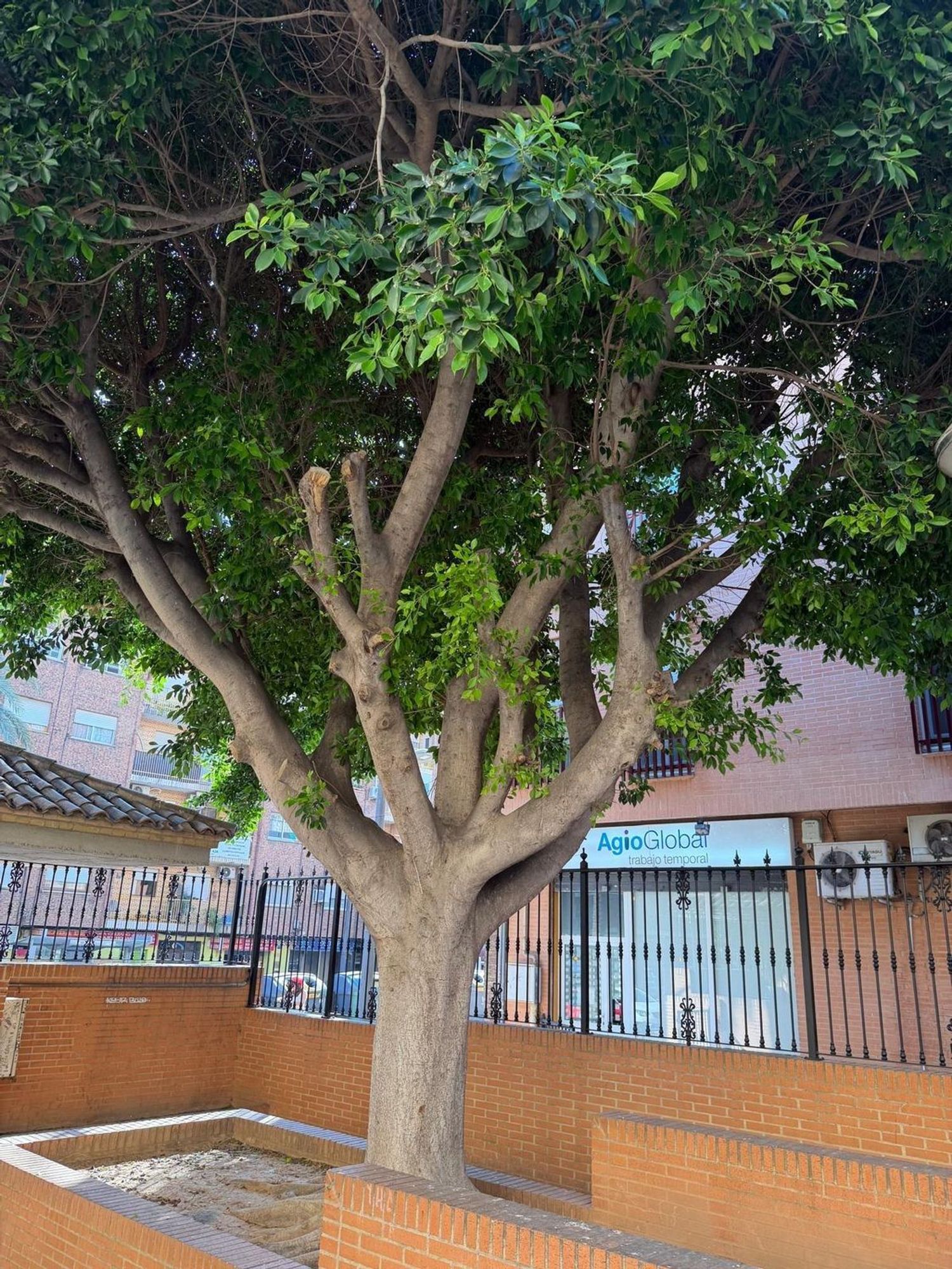 Piso en Avenida de Vicent Mortes Alfonso, Parc Central, Parc Central - Foto 16
