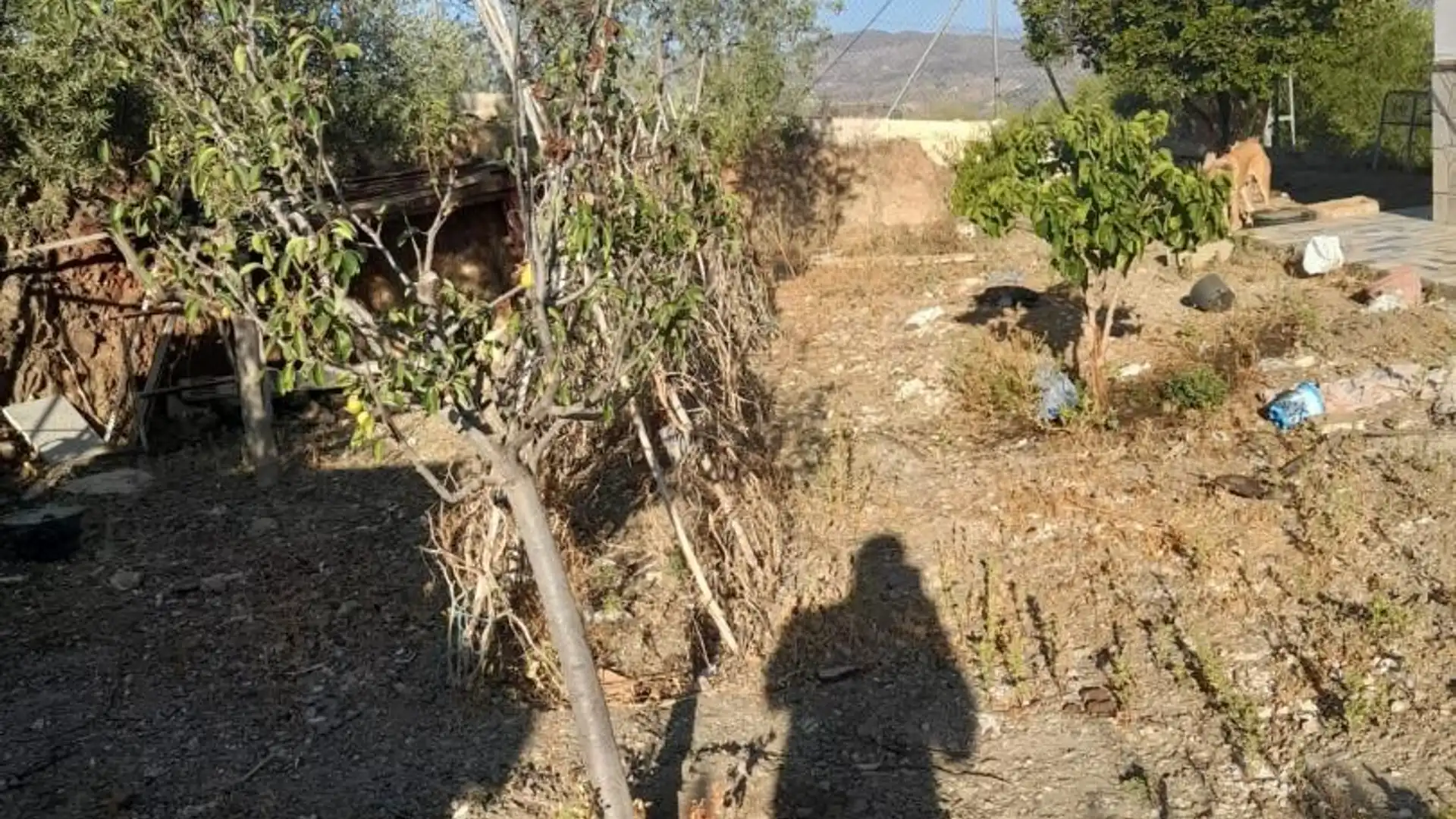 Chalet en  Diseminado Diseminados 631 - Foto 5