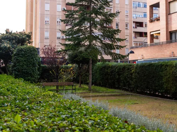 Piso en calle de Rufino Blanco, 10 - Foto 21