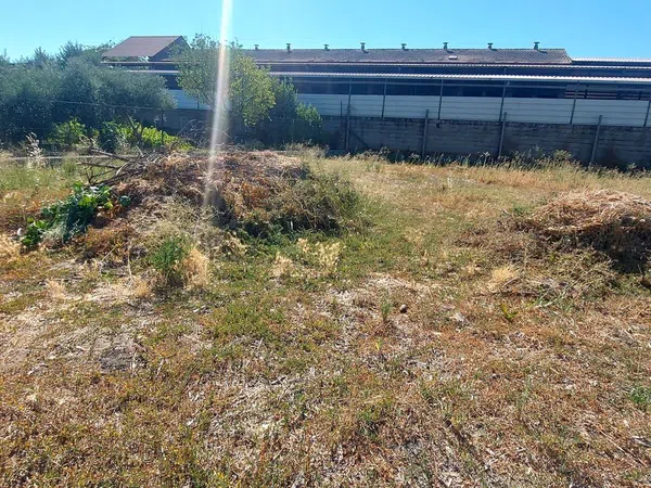 Finca rústica en Urbanización la Morena s/n, Patrocinio - Nueva Talavera, Patrocinio - Nueva Talavera - Foto 6