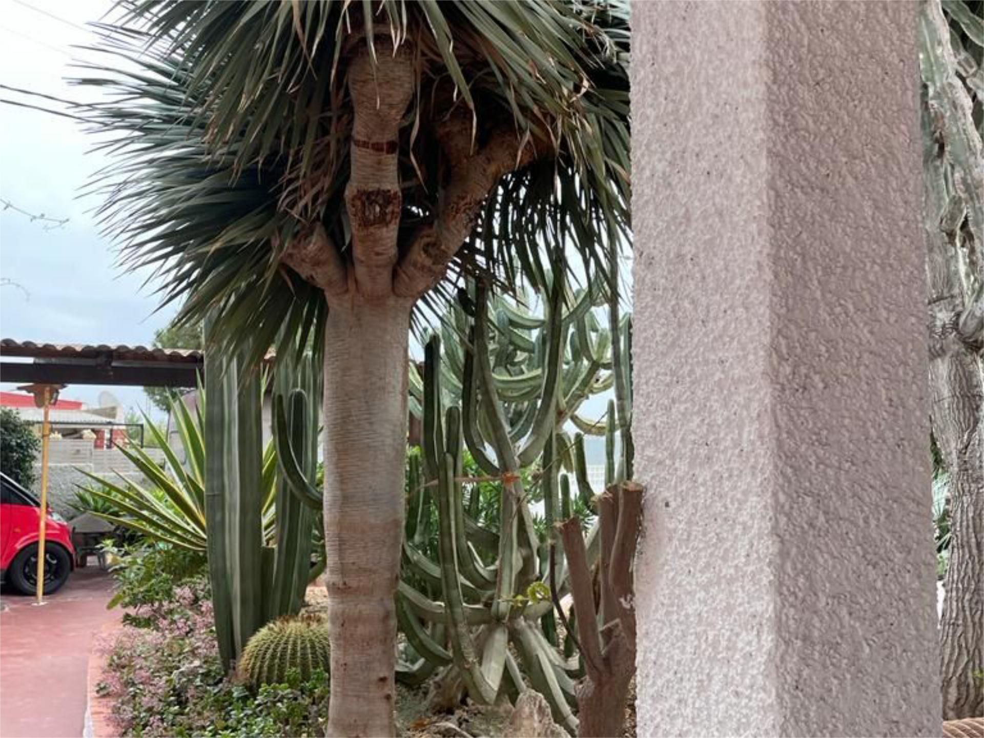 Chalet en  Camino de los Picapiedra 12 - Foto 3