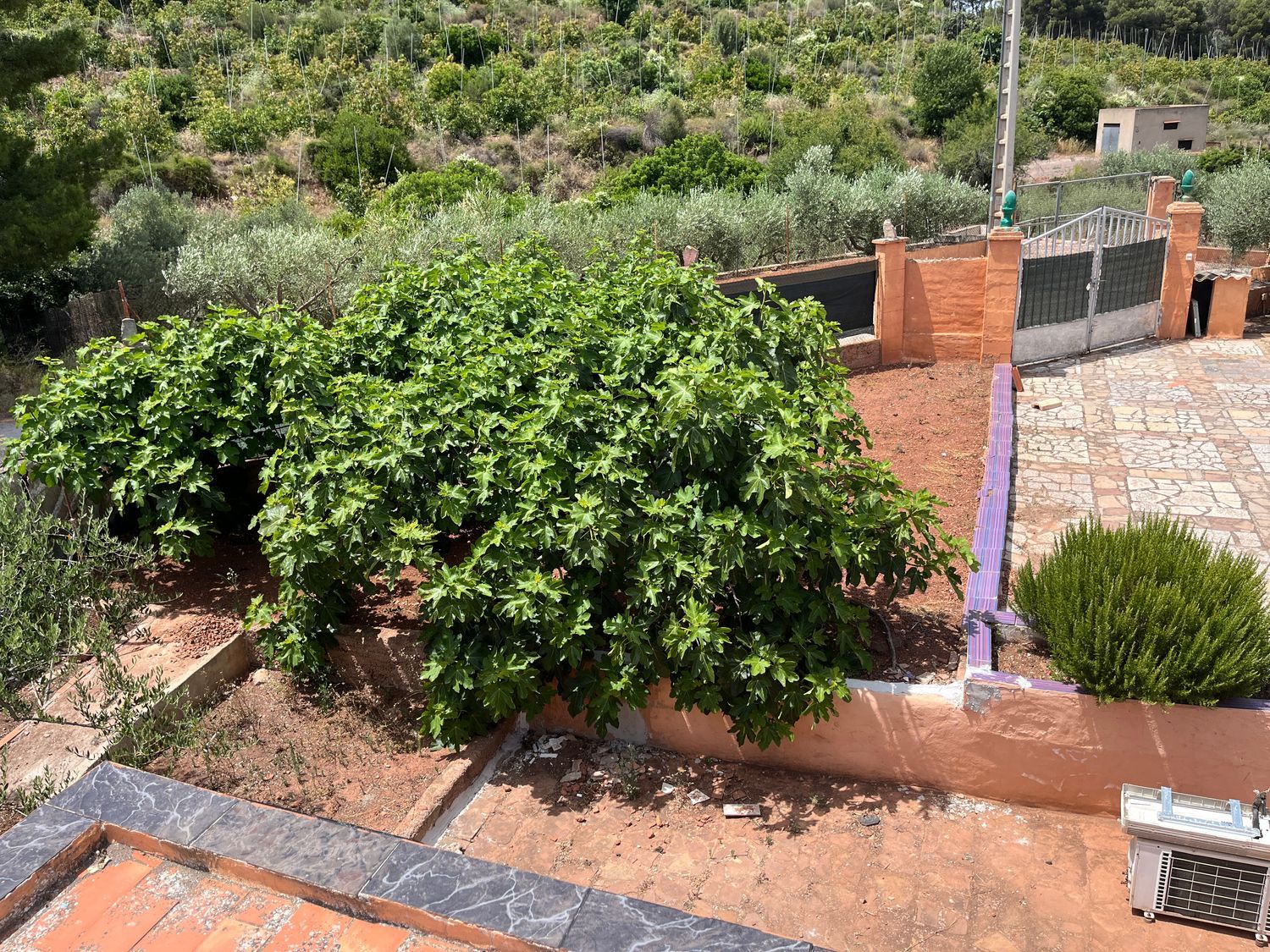 Casa o chalet independiente en Partida Tras la venta, 104 - Foto 24