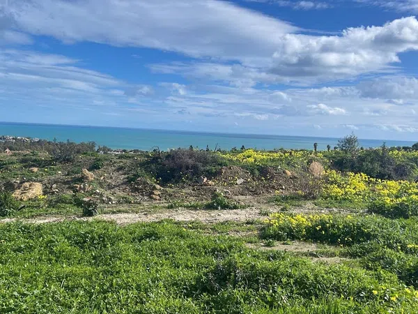 Piso en Urbanizacion Residencial Mirabella s/n - Foto 7