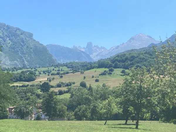 Piso en Cabrales - Foto 19