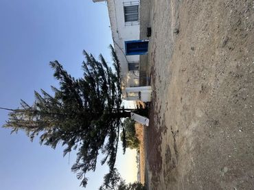 Chalet en  Pago Barrio Nuevo 170 - Foto 3