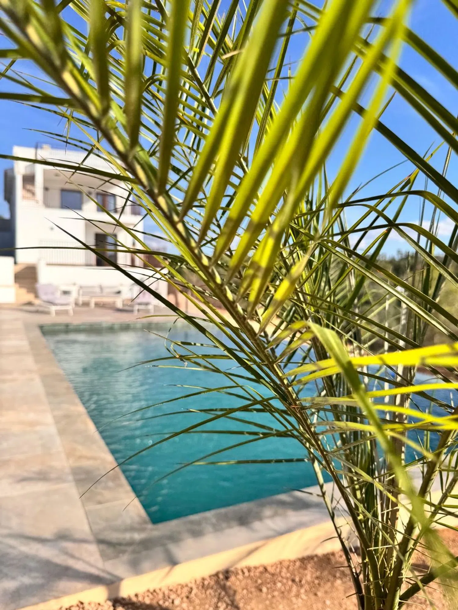 Casa independiente en Diseminado, 8504 - Foto 17