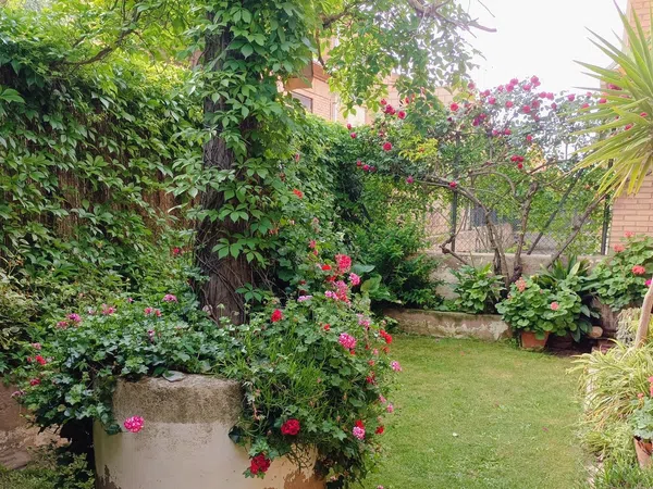 Chalet adosado en Avenida de la Molineta, 15 - Foto 6