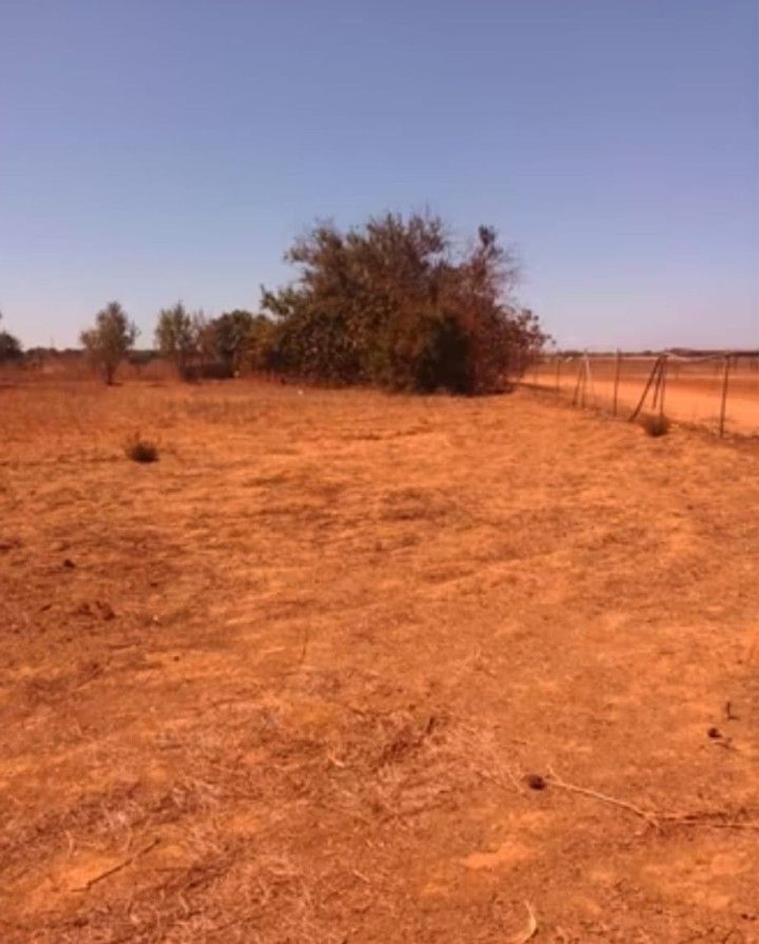 Finca rústica en Ca-3109 s/n - Foto 20