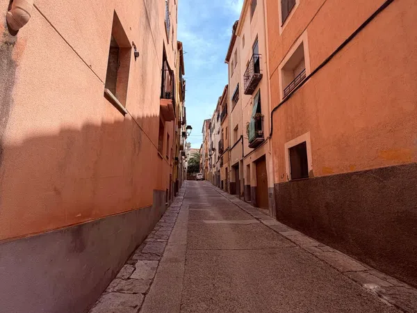 Casa de pueblo en Calle d'Hermenegild Pallejà, 11 - Foto 4