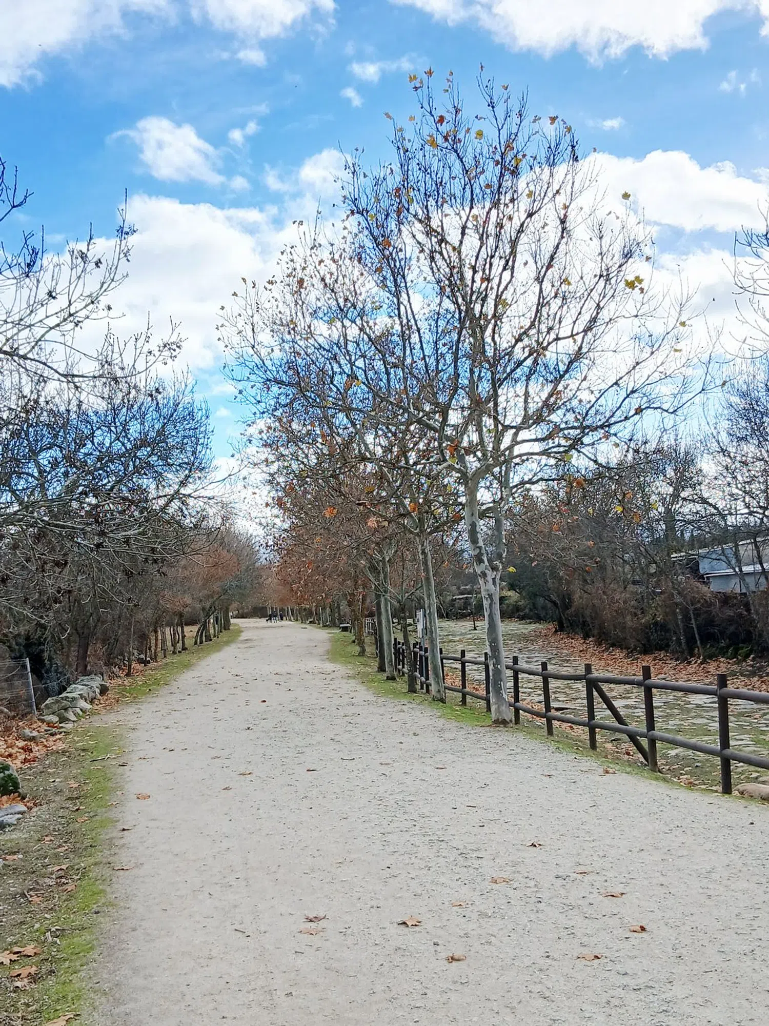 Piso en Casco Antiguo - Foto 19