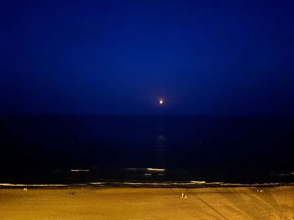 Piso en calle de l'Actor Ismael Merlo, 2 - Foto 33