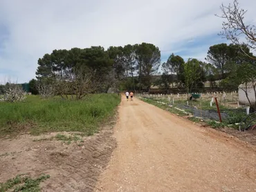 Finca rústica en  Diseminado Villapoca 157 - Foto 13