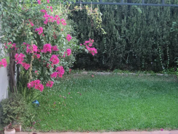 Chalet adosado en Urbanización Aljamar M-7 a, 7, Aljamar, Aljamar - Foto 8