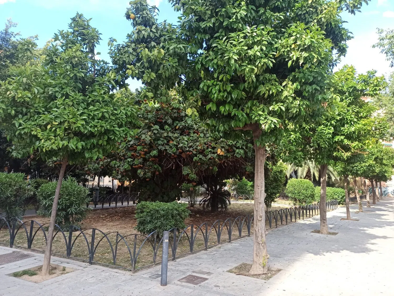 Ático en calle Huerto de Monjas, 6 - Foto 30