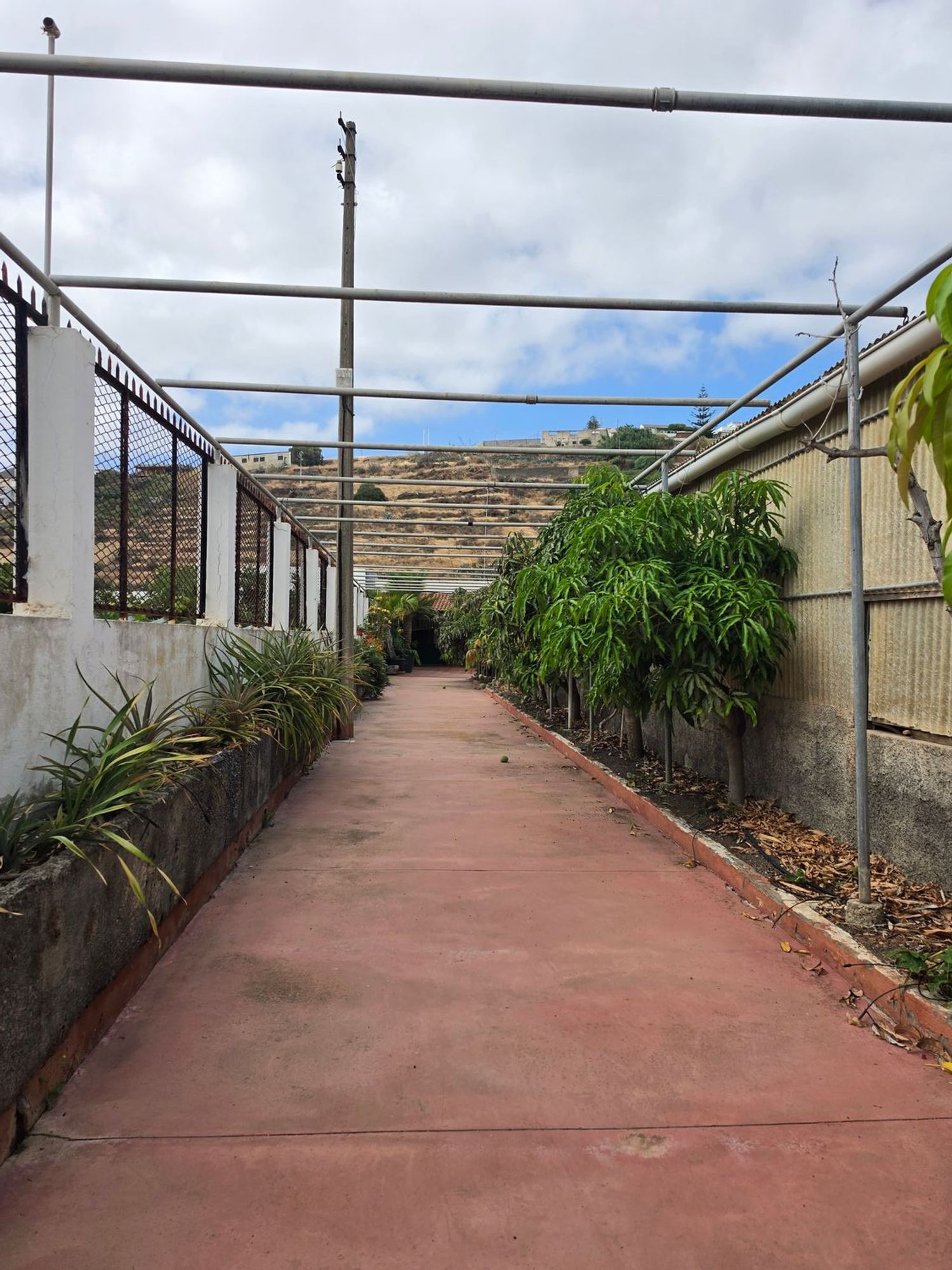 Casa rural en Camino Sabro, 109, Tafira - Foto 3