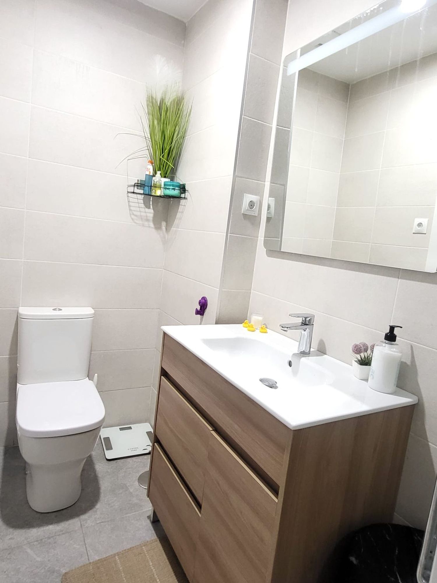 Estudio en paseo de Europa, 30 - Foto 6