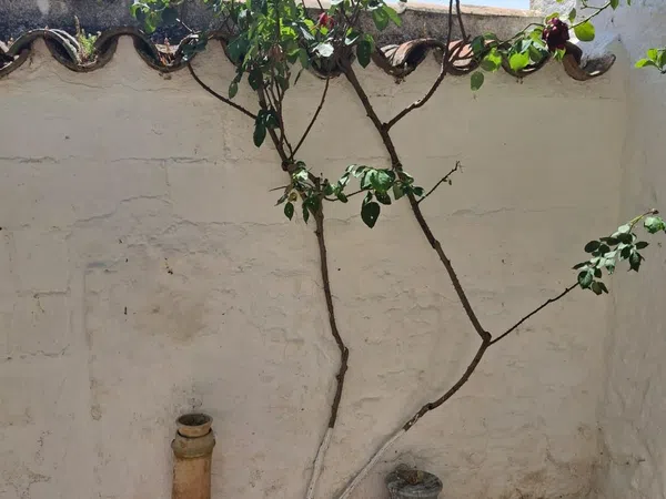 Casa de pueblo en Calle Castelar, 2 - Foto 27