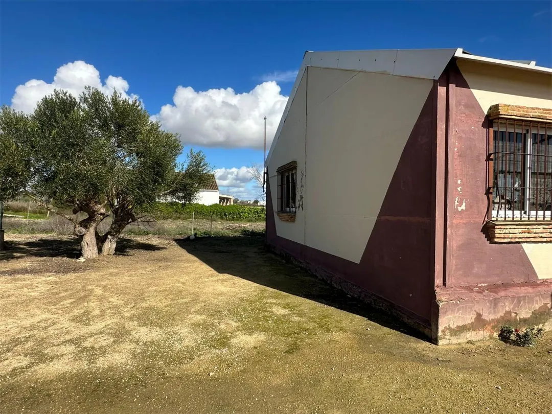 Chalet en  Calle Martín Jiménez 4 - Foto 13