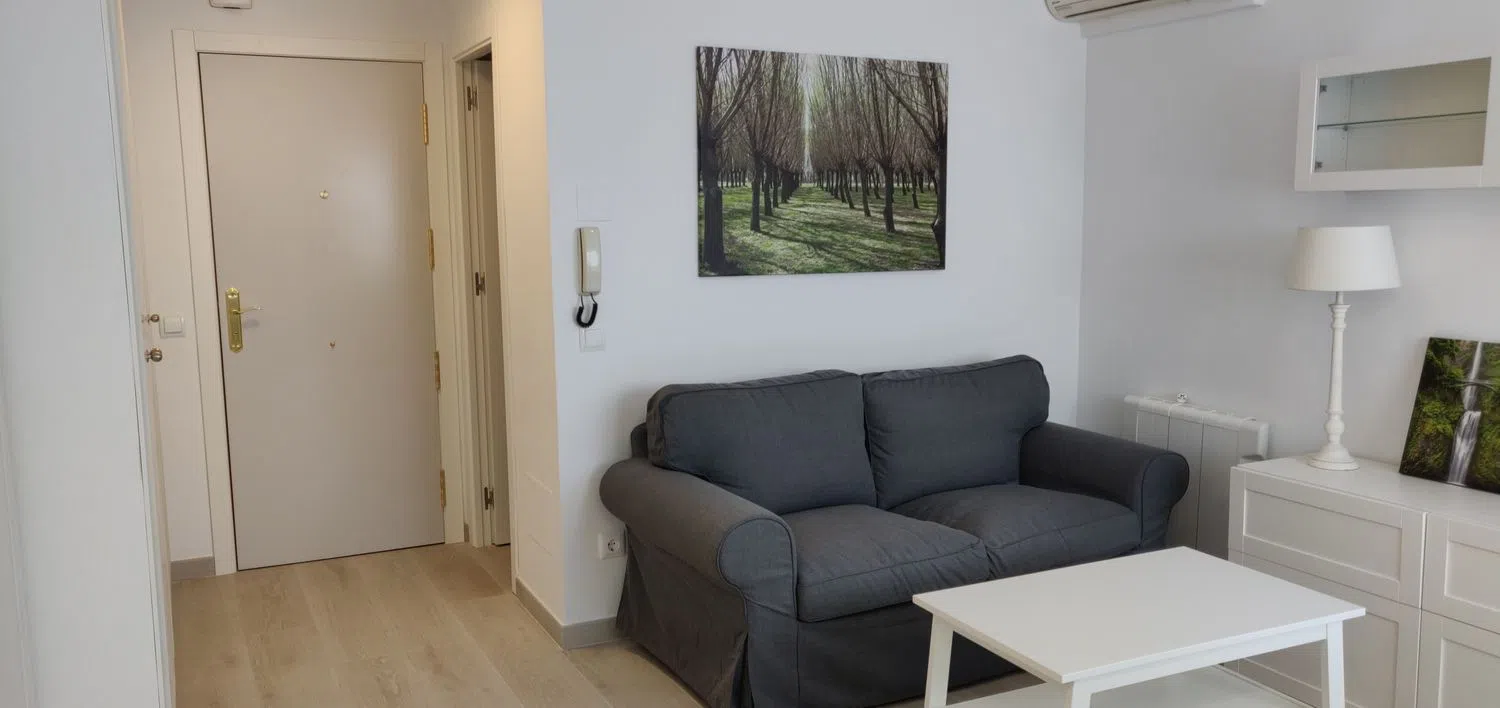 Estudio en calle de Joaquín Lorenzo, 52 - Foto 1