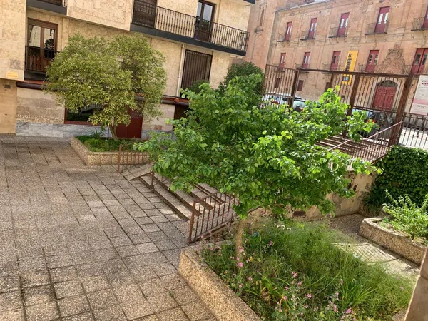 Estudio en Calle Fonseca, 3, San Vicente-Las Úrsulas, Salamanca - Foto 13