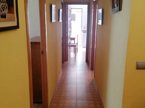 Piso en Avenida Ferrandis Salvador, 288, Curva, Curva - Foto 24