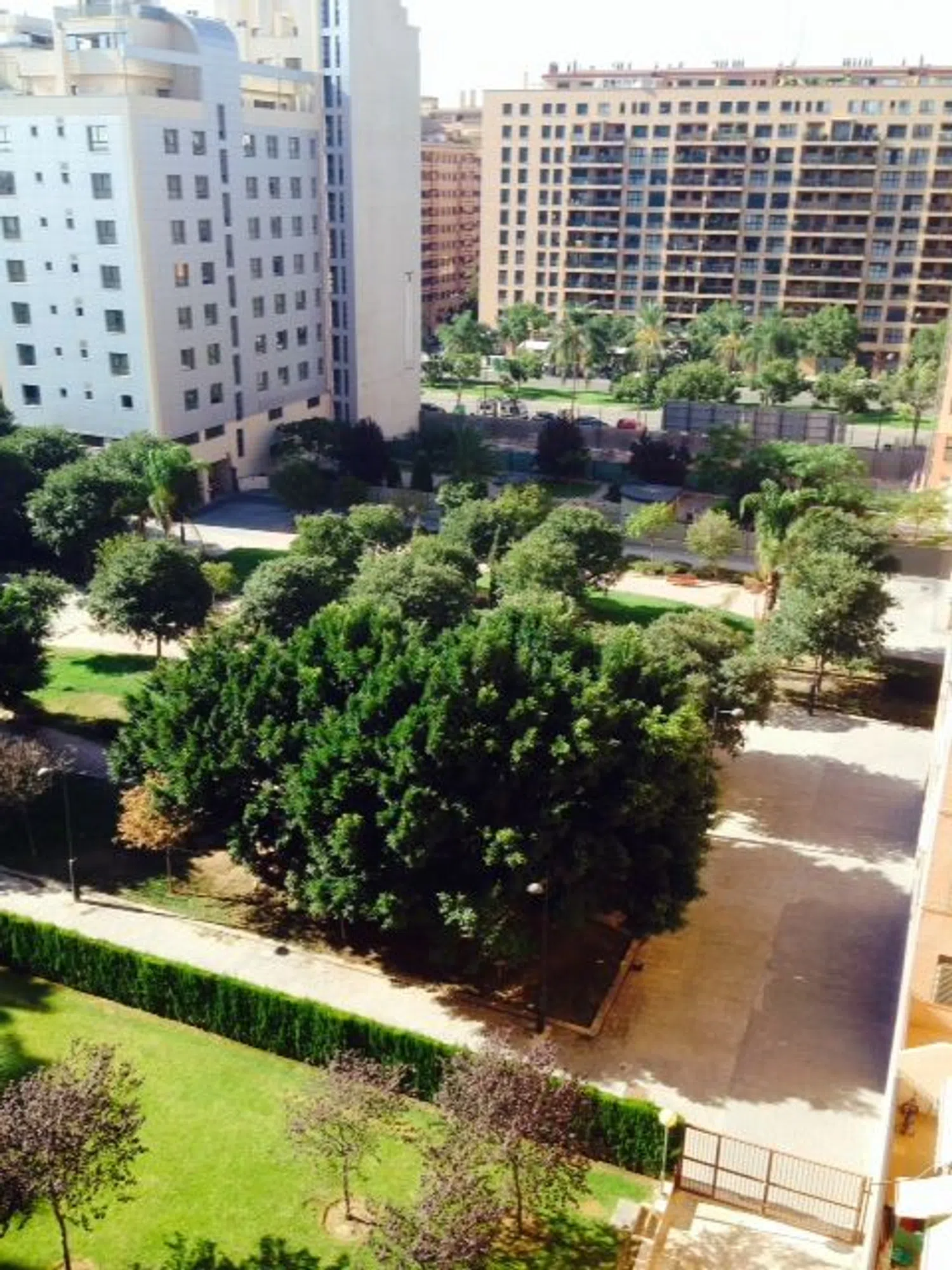 Piso en calle alfred toran i olmos, 1 - Foto 1