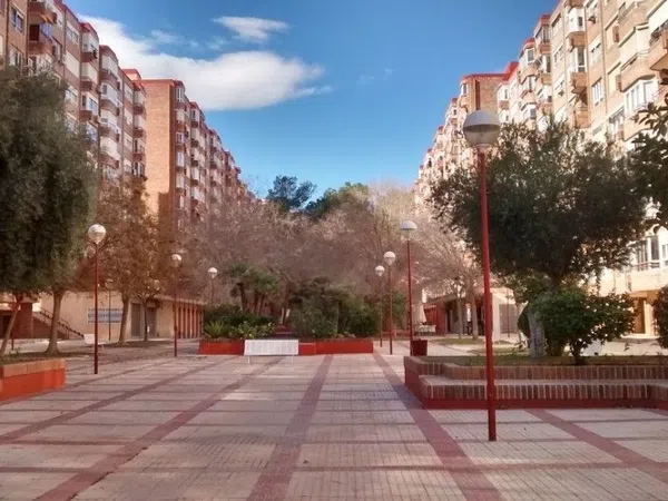 Piso en Calle Deportista Joaquin Blume, 9, El Palmeral-Urbanova-Tabarca - Foto 8