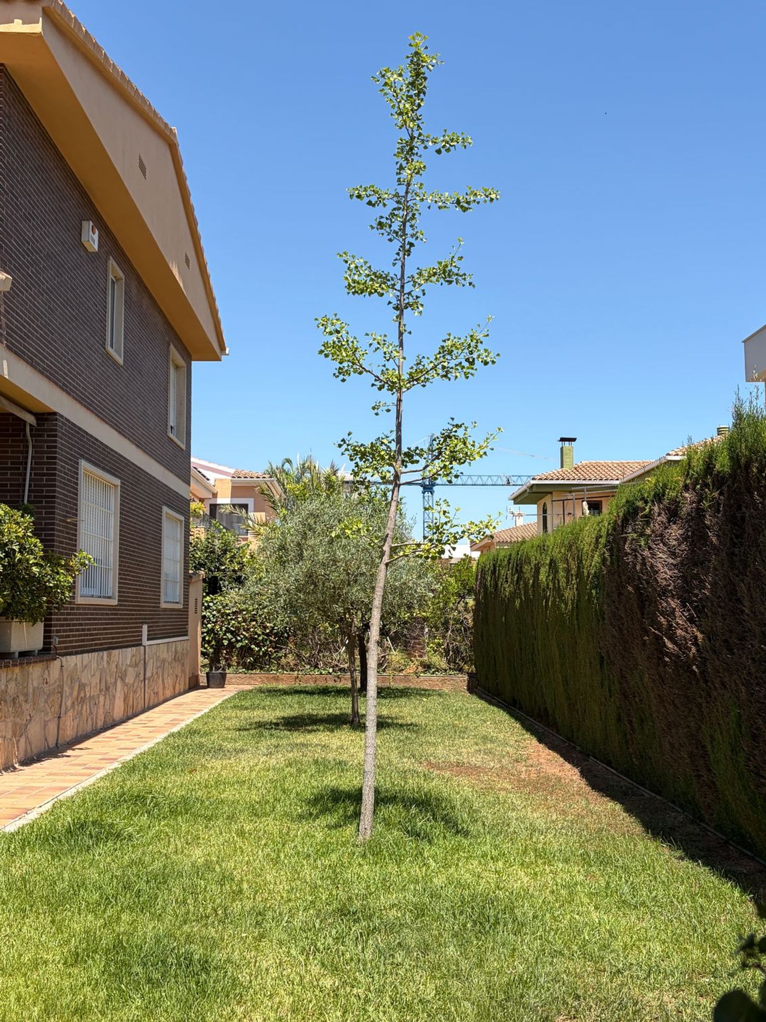 Casa o chalet independiente en Gran Vía de Tàrrega Monteblanco, 144, Zona Ensanche-Río Jucar - Foto 21