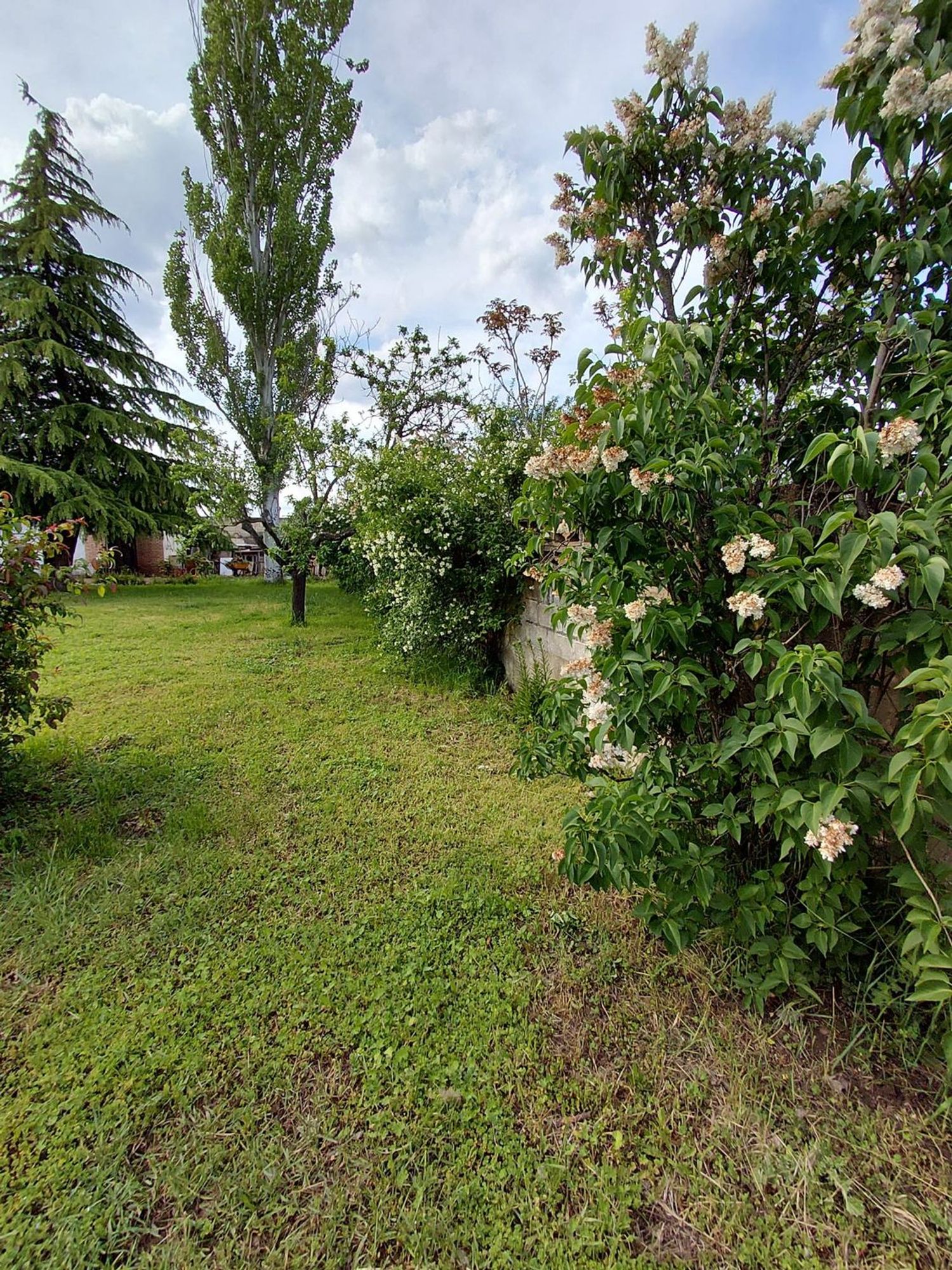 Finca rústica en La Vega - Oteruelo - Foto 17