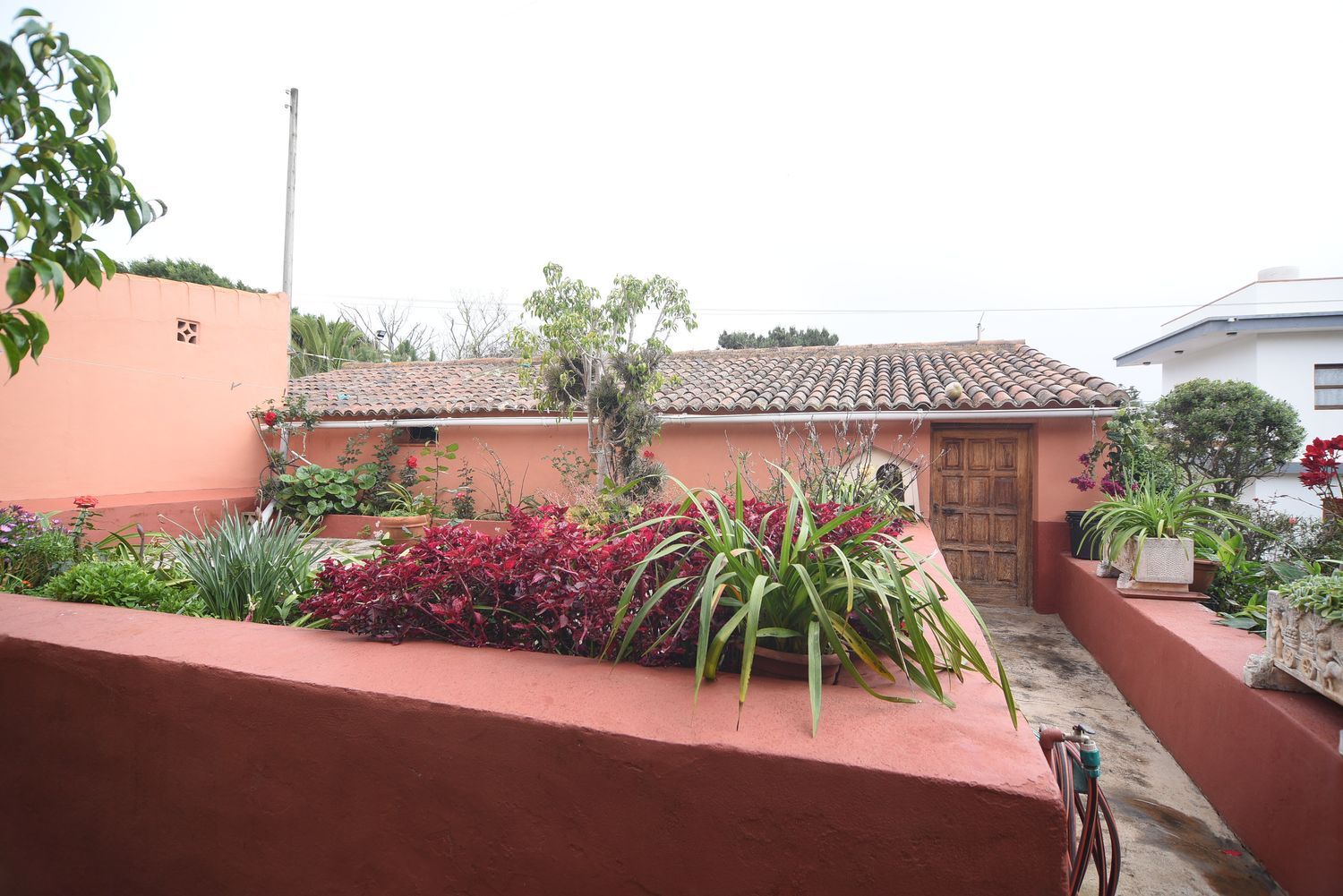 Casa terrera en Calle la Caridad, 1, Tacoronte - Los Naranjeros, Tacoronte - Los Naranjeros - Foto 19