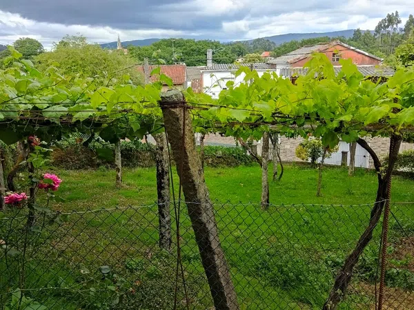 Casa de pueblo en Calle de Vigo, 115 - Foto 31