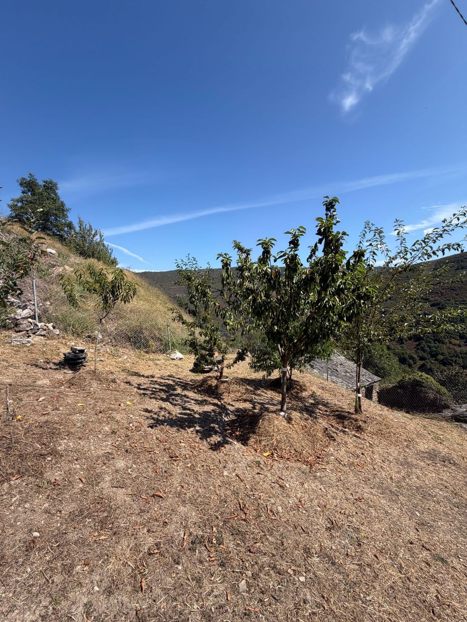 Casa de pueblo en Quintá de Moia, 2 - Foto 4