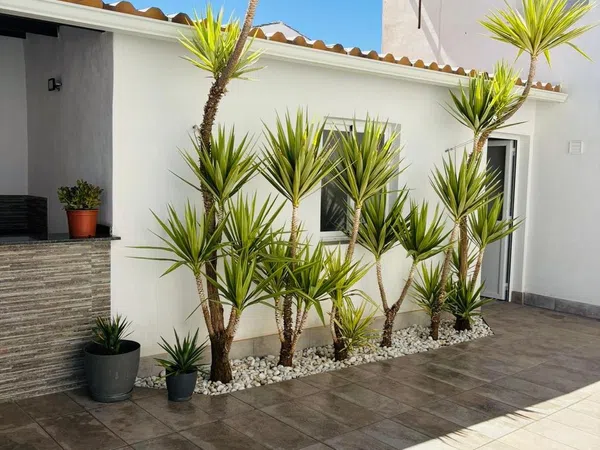 Casa o chalet independiente en Peal de Becerro - Foto 3