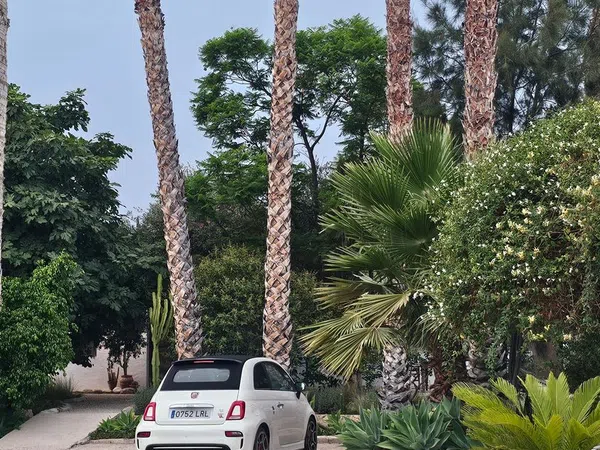 Finca rústica en Altea Pueblo, Altea Pueblo - Foto 31