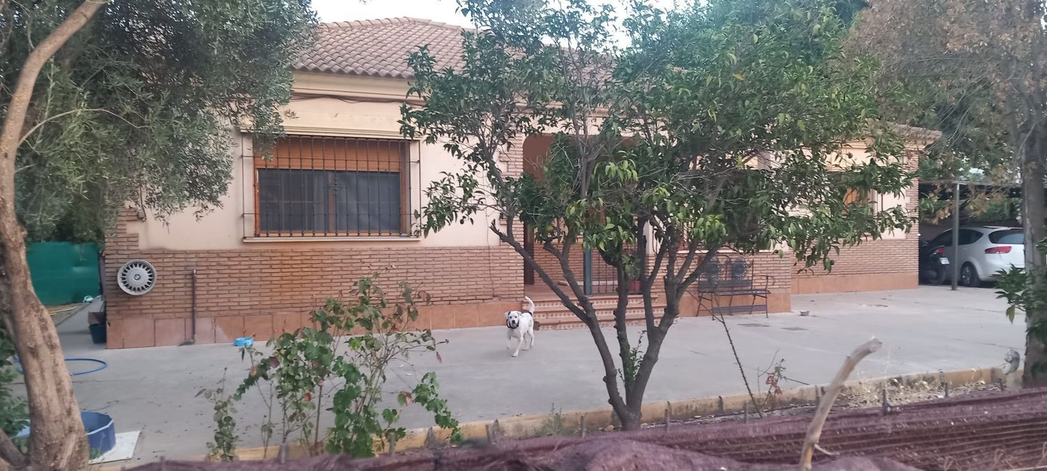 Casa o chalet independiente en Barrio Ochavillo, 276, El Higuerón - Foto 3