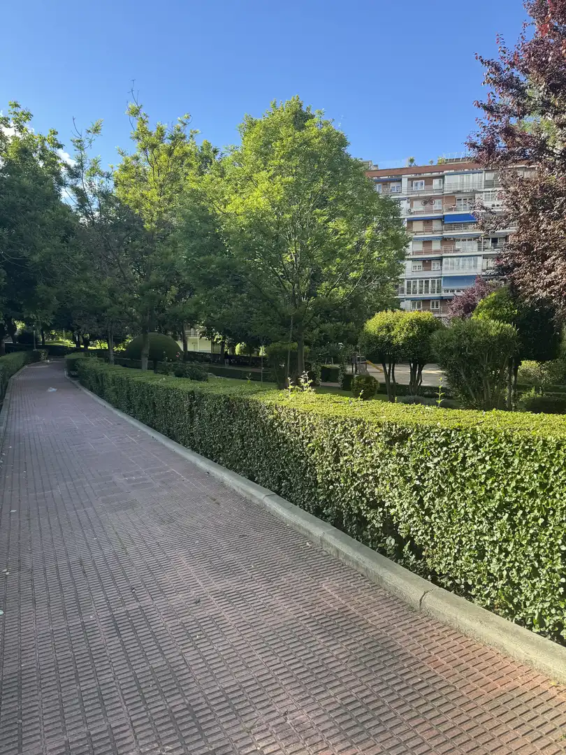 Piso en  Calle Salcillo 1 - Foto 2