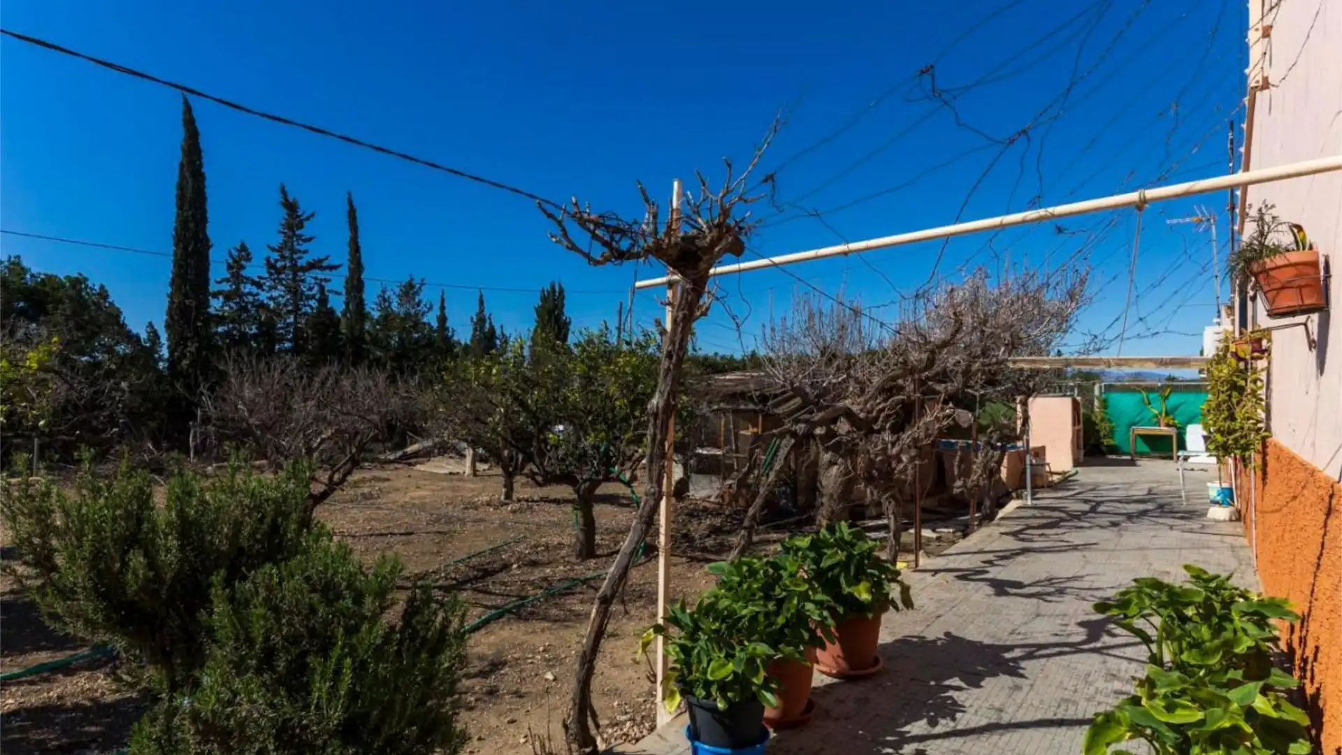 Finca rústica en  CV-865 45 - Foto 4