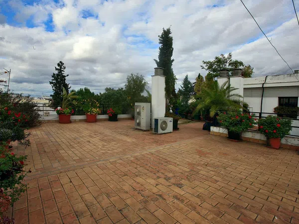Piso en Calle Santa Marina, 28, San Julián - Foto 18
