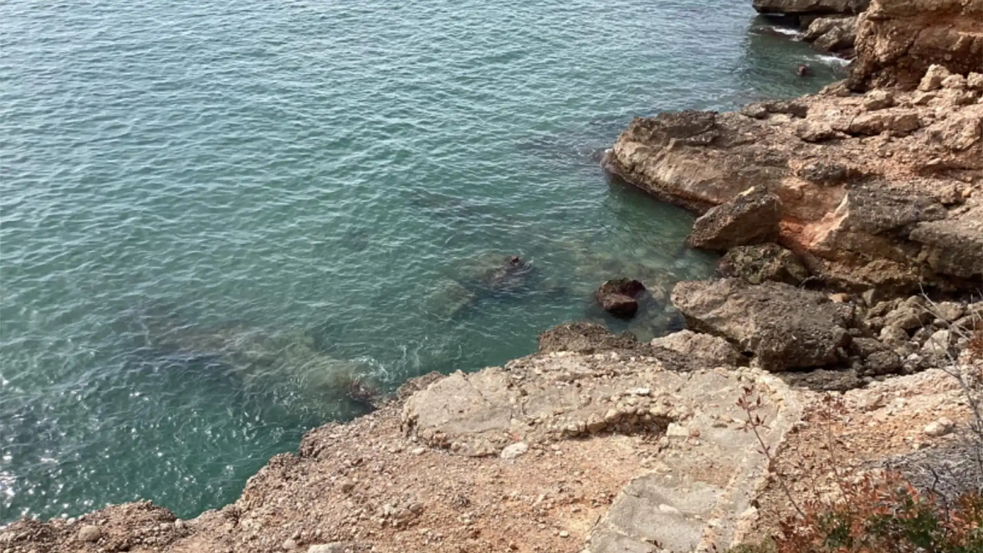 Piso en calle Carrer Punta Gaviota 2 - Foto 2